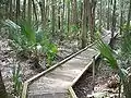 Boardwalks protect the fragile soil