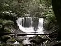 Horseshoe Falls