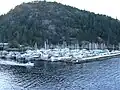 Boats at Horseshoe Bay.