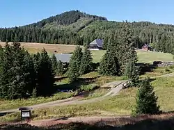 Houses in the village