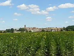 View of Hoyales de Roa, 2011