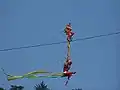 Highwire acrobats in Huang Shan