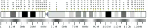 Chromosome 9 (human)