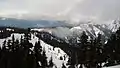 Hurricane Ridge in early May