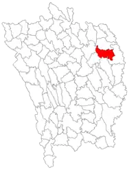 Location in Vaslui County