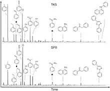 Pyrograms for the Truitjes Kraal (top) and Spitzkoppe (bottom) middens, showing the total ion current (TIC) with no sample pre-treatment. Compounds mentioned in the text are labelled as diamonds (styrene), circles (benzonitrile) and stars (benzamide).