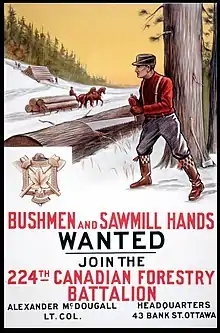 A man with a saw cutting a log in the foreground. In the background are two horses pulling a sleigh with logs on it and uncut trees further in the background. The poster states “bushmen and sawmill hands wanted join the 224th Canadian Forestry Battalion. Alexander McDougall Lt. Col. [Lieutenant Colonel]. Headquarters 43 Bank St. [Street], Ottawa.”