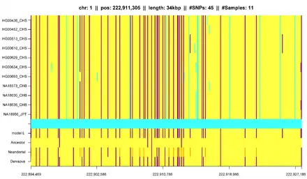 An IBD segment identified by HapFABIA in the 1000 Genomes