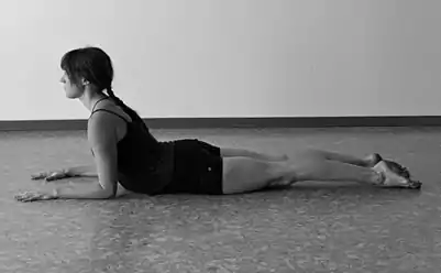 Sphinx pose: In the more advanced version of this pose, the "Seal," the arms are fully extended and the back bend is deeper. Seal pose resembles Bhujangasana, but is performed differently.