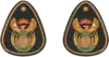 Senior Warrant Officer - Service Dress - Rank Insignia