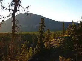 A view of the lush green landscape of the Ibex Valley