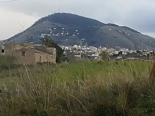 Il Monte Bonifato visto dalle campagne attorno ad Alcamo