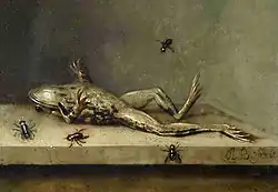 Dead Frog with Flies by Ambrosius Bosschaert II, c. 1630