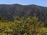 Inadu Knob (left) and Old Black (right), viewed from Maddron Bald