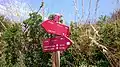 Camí de Cavalls sign. Stage 4, Platges de Fornells, close to Cala Tirant.