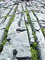 Limestone pavement