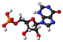 Ball-and-stick model of the inosinic acid molecule