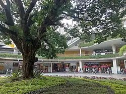 Farview Terraces Inside