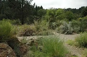 Regional Parks Botanic Garden