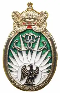 Insignia of 13th Parachute Dragoon Regiment