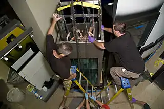 (?/7/2005)Same specimen being lowered into its final position at the Sant Ocean Hall of the National Museum of Natural History (NMNH) in Washington, D.C. Both specimens currently on display at the NMNH were flown from Spain aboard a C-17 Globemaster III as part of "Operation Calamari".