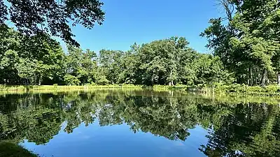 The Institute Pond, created in the 1960s