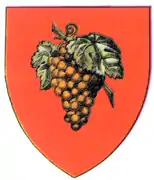 Tecuci