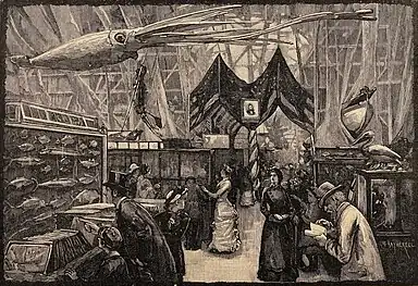 #42 (24/9/1877)The US display at the International Fisheries Exhibition of 1883, held in London, UK (illustration by William Hatherell, from Cassell, 1903:600, fig.). An Architeuthis princeps model, made by J. H. Emerton and A. E. Verrill for the Smithsonian and based on the Catalina specimen, is seen hanging in the background.