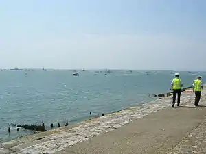 Ships at the International Fleet Review as seen from Fort Blockhouse in Gosport, Hampshire