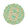 Ishihara Plate No. 13 (6)