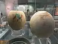 Ornamented and painted ostrich eggs from the tomb