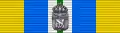 Ribbon bar of the commemorative medal