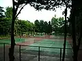 Tennis courts