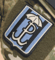 Zespoł Bojowy C, Parasol insignia