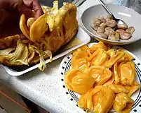 Extracting the jackfruit arils and separating the seeds from the flesh