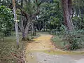 Garden path and park bench.