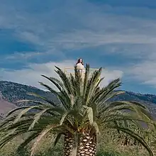 Lanza standing atop a palm tree