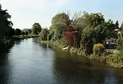 Jizera River in Nový Vestec