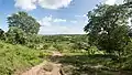 Agreste landscape near João Alfredo