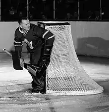 Johnny Bower, ice hockey goalie