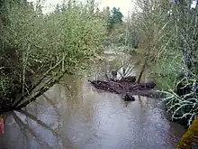 A stream about 15 feet (4.6 meters) wide flows through a wooded area.