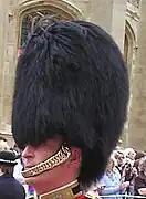 Bearskin