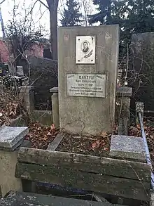 Károly Vántus grave in Novodevichy Cemetery (Moscow)