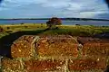 View from the ruin. Bricks have been a preferred building material in Denmark for almost a millennium.