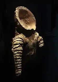 Model of a Saka cataphract armour with neck-guard, from Khalchayan. 1st century BCE. Museum of Arts of Uzbekistan, nb 40.