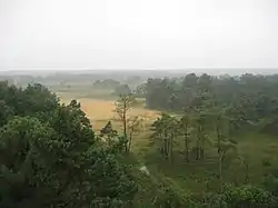 View of the Kalmthout Heath from the top of its watchtower, on 11 September 2005.