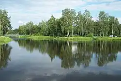 Lake in Kamionka