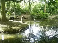 Kangaroo and Platypus, The Water Gardens, Hemel Hempstead, UK