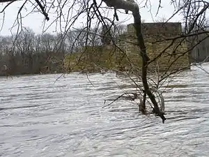 Kankakee River State Park, Old Bridge Piers (January 1, 2009)