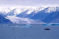 Kaparoqtalik Glacier in the southern Byam Martin Mountains